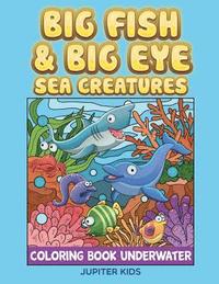 bokomslag Big Fish & Big Eye Sea Creatures