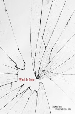 Amy Knox Brown - What Is Gone, Inbunden