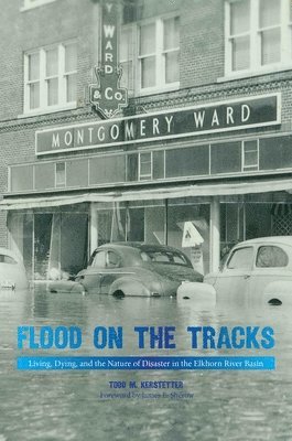 Flood on the Tracks 1