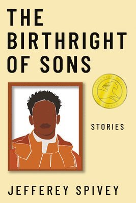 bokomslag Birthright of Sons