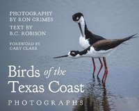 bokomslag Birds of the Texas Coast