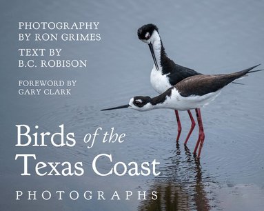 Ron Grimes, B. C. Robison, Gary Clark - Birds of the Texas Coast, Inbunden