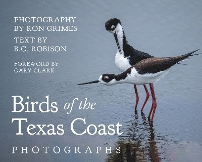 Ron Grimes, B. C. Robison, Gary Clark - Birds of the Texas Coast, Inbunden
