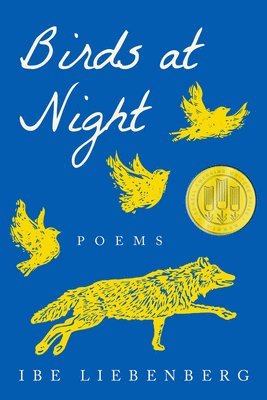 bokomslag Birds at Night: Poems