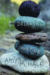 bokomslag Drinking Wild Water