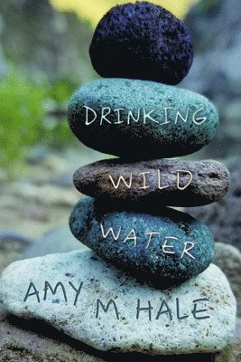 bokomslag Drinking Wild Water