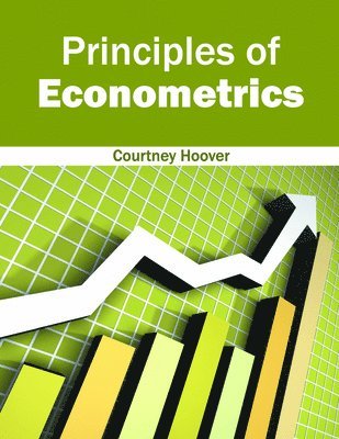 bokomslag Principles of Econometrics