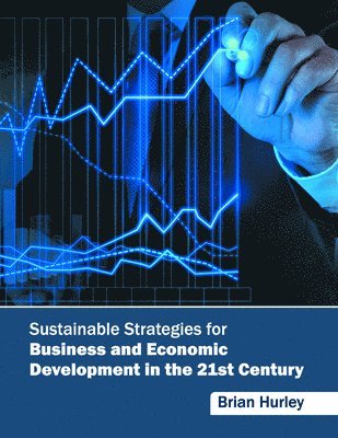 Brian Hurley - Sustainable Strategies for Business and Economic Development in the 21st Century, Inbunden