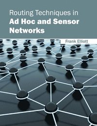 bokomslag Routing Techniques in Ad Hoc and Sensor Networks