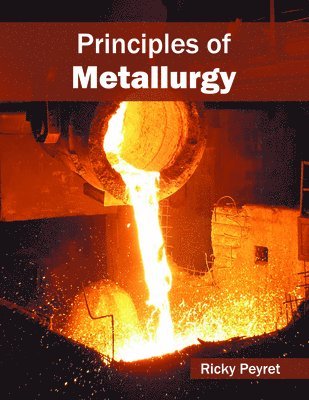 bokomslag Principles of Metallurgy