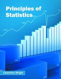 bokomslag Principles of Statistics