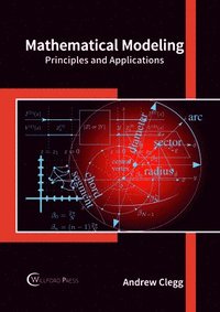bokomslag Mathematical Modeling: Principles and Applications