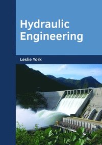 bokomslag Hydraulic Engineering