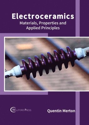 bokomslag Electroceramics: Materials, Properties and Applied Principles