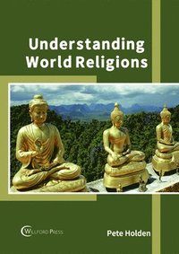 bokomslag Understanding World Religions