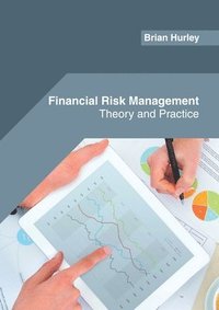 bokomslag Financial Risk Management: Theory and Practice