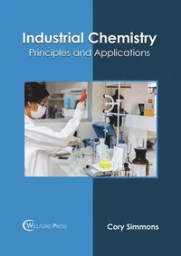 bokomslag Industrial Chemistry: Principles and Applications