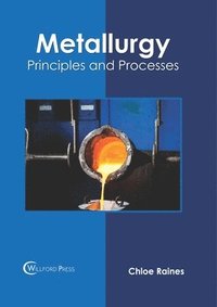 bokomslag Metallurgy: Principles and Processes