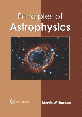 bokomslag Principles of Astrophysics