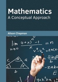 bokomslag Mathematics: A Conceptual Approach