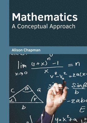 Alison Chapman - Mathematics: A Conceptual Approach, Inbunden