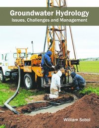 bokomslag Groundwater Hydrology: Issues, Challenges and Management