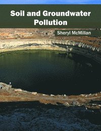 bokomslag Soil and Groundwater Pollution