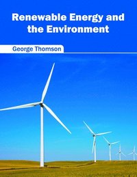 bokomslag Renewable Energy and the Environment