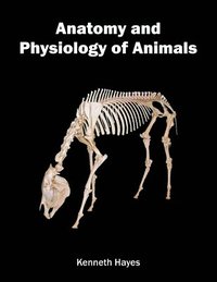 bokomslag Anatomy and Physiology of Animals