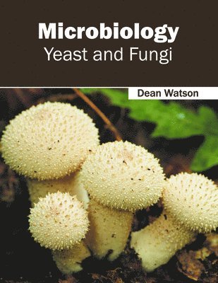 bokomslag Microbiology: Yeast and Fungi