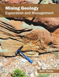 bokomslag Mining Geology: Exploration and Management
