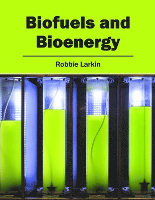 Robbie Larkin - Biofuels and Bioenergy, Inbunden