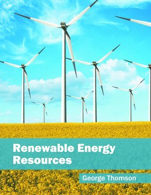 bokomslag Renewable Energy Resources