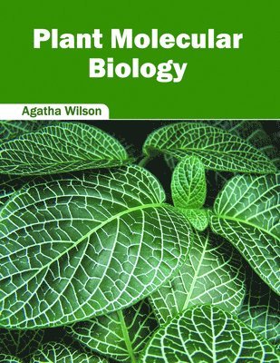 Plant Molecular Biology 1