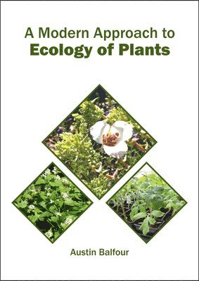 bokomslag A Modern Approach to Ecology of Plants