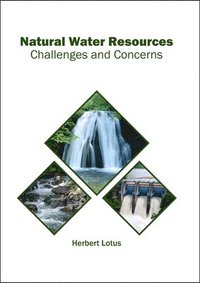 bokomslag Natural Water Resources: Challenges and Concerns