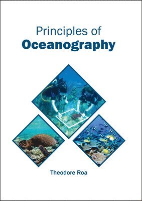 bokomslag Principles of Oceanography