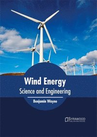 bokomslag Wind Energy: Science and Engineering
