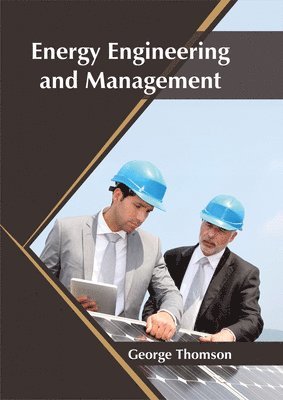 Energy Engineering and Management 1