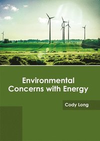 bokomslag Environmental Concerns with Energy