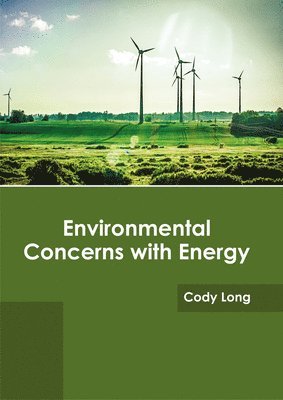 Environmental Concerns with Energy 1