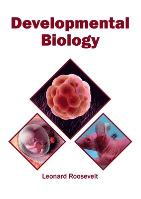 bokomslag Developmental Biology