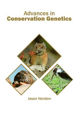 Jason Hendon - Advances in Conservation Genetics, Inbunden