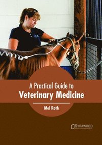 bokomslag A Practical Guide to Veterinary Medicine