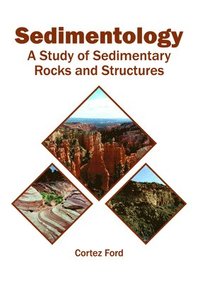bokomslag Sedimentology: A Study of Sedimentary Rocks and Structures