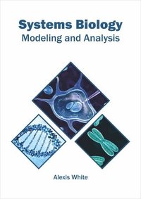 bokomslag Systems Biology: Modeling and Analysis