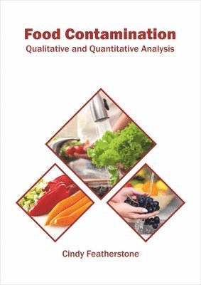 bokomslag Food Contamination: Qualitative and Quantitative Analysis