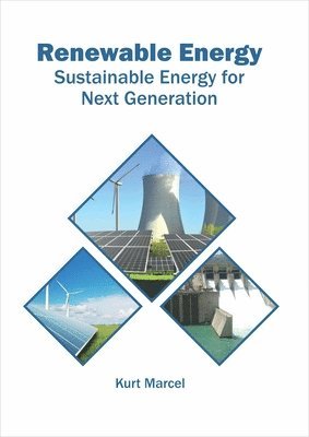 bokomslag Renewable Energy: Sustainable Energy for Next Generation