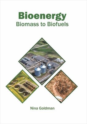 bokomslag Bioenergy: Biomass to Biofuels
