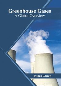 bokomslag Greenhouse Gases: A Global Overview